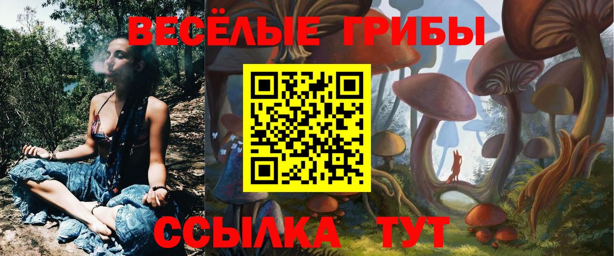 Лесосибирск  Галлюциногенные грибы мицелий  Вход с VPN 