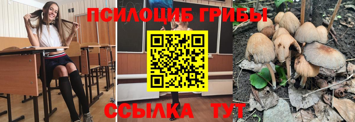 Галлюциногенные грибы GOLDEN TEACHER Лесосибирск